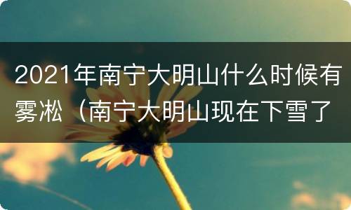 2021年南宁大明山什么时候有雾凇（南宁大明山现在下雪了吗）