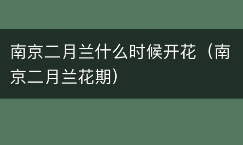 南京二月兰什么时候开花（南京二月兰花期）