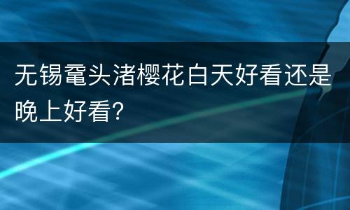 无锡鼋头渚樱花白天好看还是晚上好看？