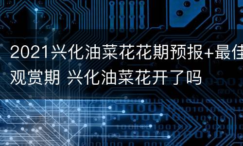 2021兴化油菜花花期预报+最佳观赏期 兴化油菜花开了吗