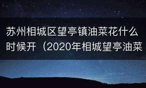 苏州相城区望亭镇油菜花什么时候开（2020年相城望亭油菜花）