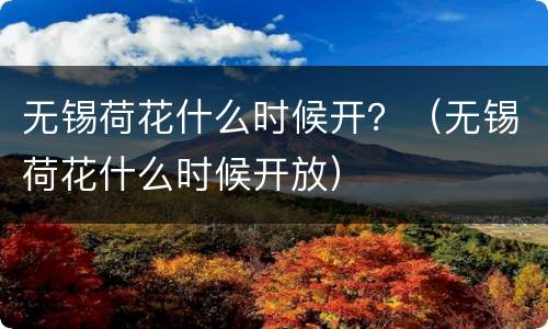 无锡荷花什么时候开？（无锡荷花什么时候开放）