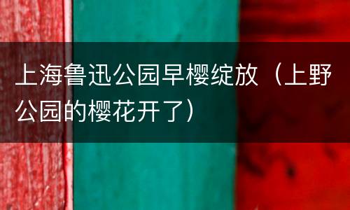 上海鲁迅公园早樱绽放（上野公园的樱花开了）