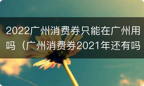 2022广州消费券只能在广州用吗（广州消费券2021年还有吗）