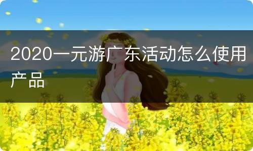 2020一元游广东活动怎么使用产品