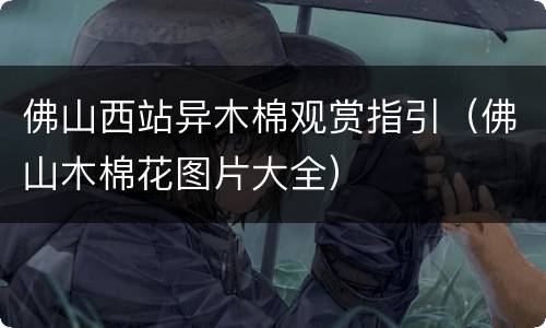 佛山西站异木棉观赏指引（佛山木棉花图片大全）