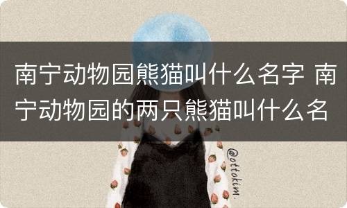 南宁动物园熊猫叫什么名字 南宁动物园的两只熊猫叫什么名字?