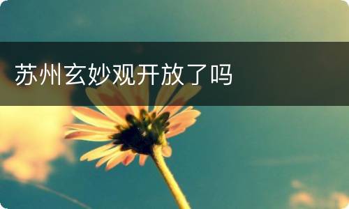苏州玄妙观开放了吗