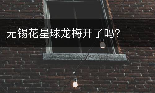 无锡花星球龙梅开了吗？