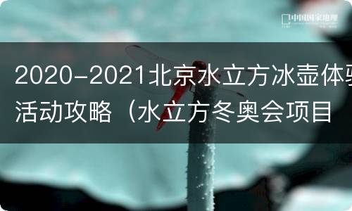 2020-2021北京水立方冰壶体验活动攻略（水立方冬奥会项目冰壶）