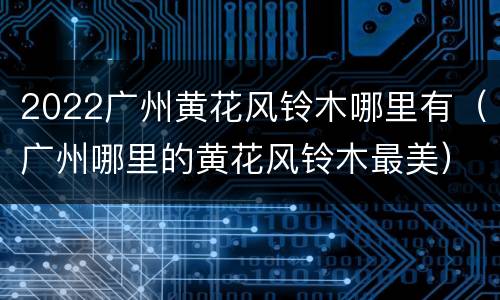 2022广州黄花风铃木哪里有（广州哪里的黄花风铃木最美）