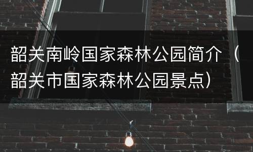 韶关南岭国家森林公园简介（韶关市国家森林公园景点）