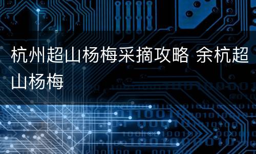 杭州超山杨梅采摘攻略 余杭超山杨梅