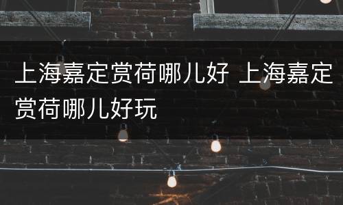 上海嘉定赏荷哪儿好 上海嘉定赏荷哪儿好玩