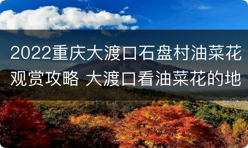 2022重庆大渡口石盘村油菜花观赏攻略 大渡口看油菜花的地方