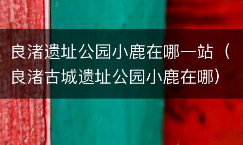 良渚遗址公园小鹿在哪一站（良渚古城遗址公园小鹿在哪）