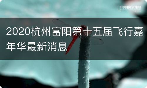 2020杭州富阳第十五届飞行嘉年华最新消息