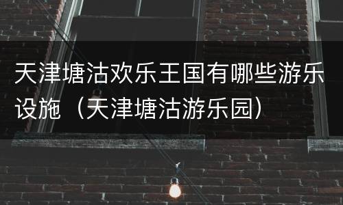 天津塘沽欢乐王国有哪些游乐设施（天津塘沽游乐园）
