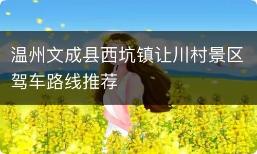 温州文成县西坑镇让川村景区驾车路线推荐
