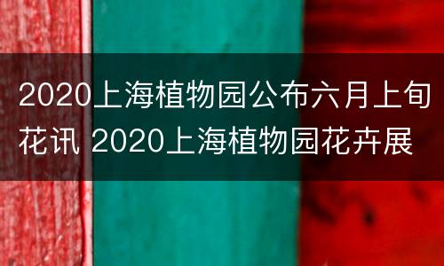 2020上海植物园公布六月上旬花讯 2020上海植物园花卉展