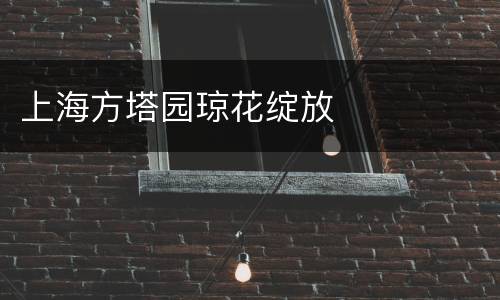上海方塔园琼花绽放