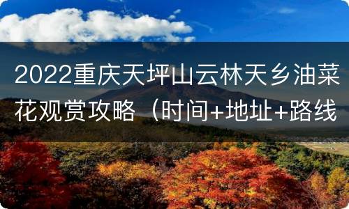 2022重庆天坪山云林天乡油菜花观赏攻略（时间+地址+路线）