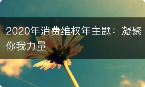 2020年消费维权年主题：凝聚你我力量