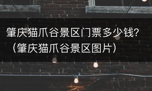 肇庆猫爪谷景区门票多少钱？（肇庆猫爪谷景区图片）