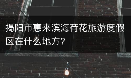 揭阳市惠来滨海荷花旅游度假区在什么地方?
