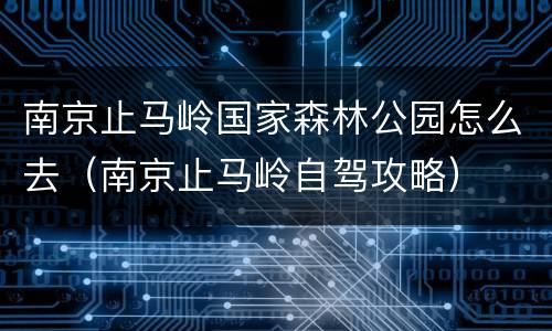 南京止马岭国家森林公园怎么去（南京止马岭自驾攻略）