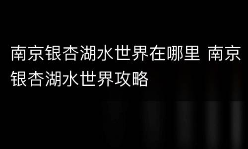 南京银杏湖水世界在哪里 南京银杏湖水世界攻略