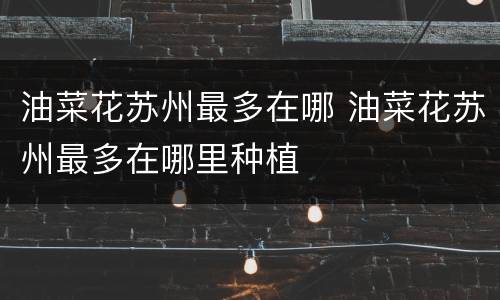 油菜花苏州最多在哪 油菜花苏州最多在哪里种植