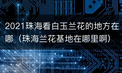 2021珠海看白玉兰花的地方在哪（珠海兰花基地在哪里啊）