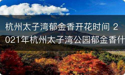 杭州太子湾郁金香开花时间 2021年杭州太子湾公园郁金香什么时候开