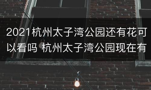 2021杭州太子湾公园还有花可以看吗 杭州太子湾公园现在有花吗