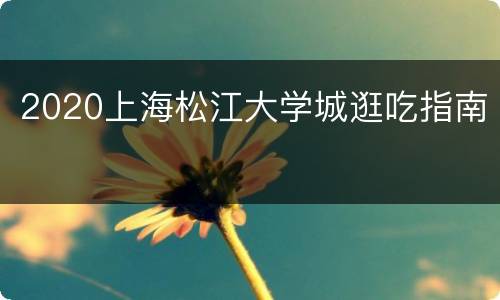 2020上海松江大学城逛吃指南