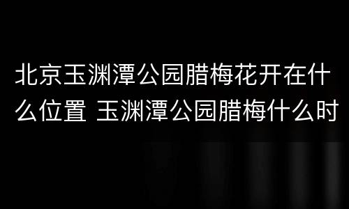 北京玉渊潭公园腊梅花开在什么位置 玉渊潭公园腊梅什么时候开花