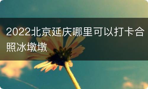 2022北京延庆哪里可以打卡合照冰墩墩