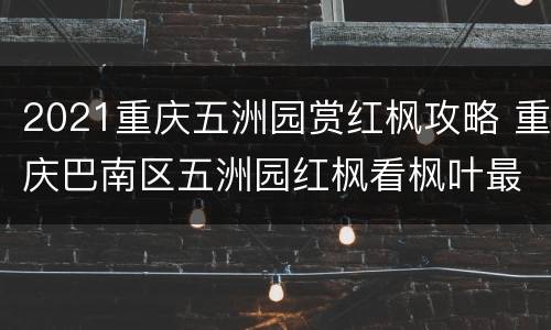 2021重庆五洲园赏红枫攻略 重庆巴南区五洲园红枫看枫叶最佳时间