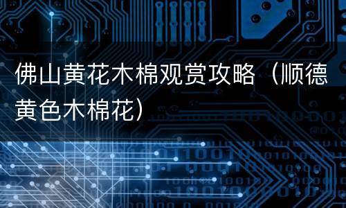 佛山黄花木棉观赏攻略（顺德黄色木棉花）