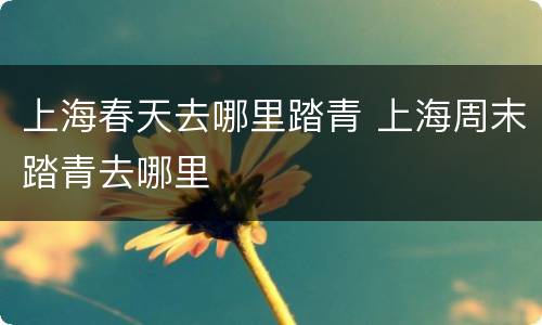 上海春天去哪里踏青 上海周末踏青去哪里