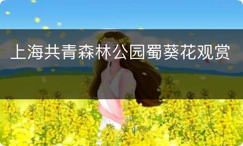 上海共青森林公园蜀葵花观赏
