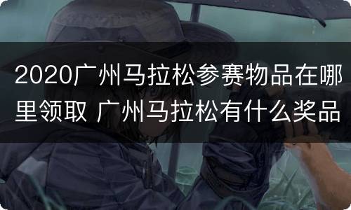 2020广州马拉松参赛物品在哪里领取 广州马拉松有什么奖品