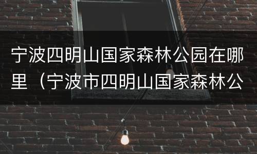 宁波四明山国家森林公园在哪里（宁波市四明山国家森林公园）