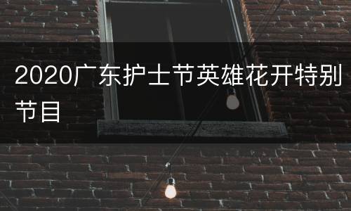 2020广东护士节英雄花开特别节目