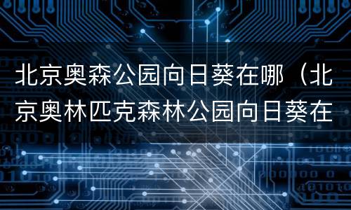 北京奥森公园向日葵在哪（北京奥林匹克森林公园向日葵在哪里）