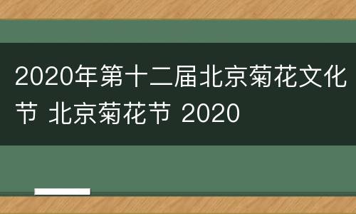 2020年第十二届北京菊花文化节 北京菊花节 2020