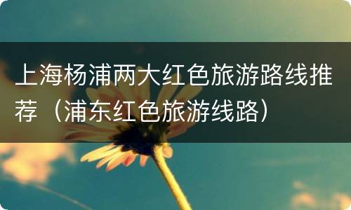 上海杨浦两大红色旅游路线推荐（浦东红色旅游线路）