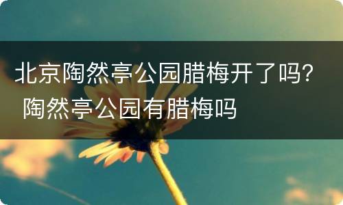 北京陶然亭公园腊梅开了吗？ 陶然亭公园有腊梅吗