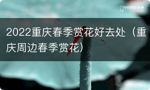 2022重庆春季赏花好去处（重庆周边春季赏花）
